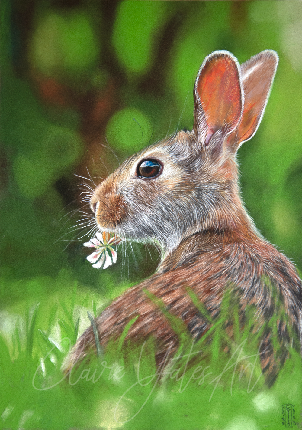 Print 'The Clover Thief'