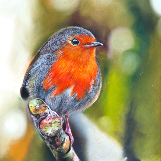 Original portrait A Robin Perched