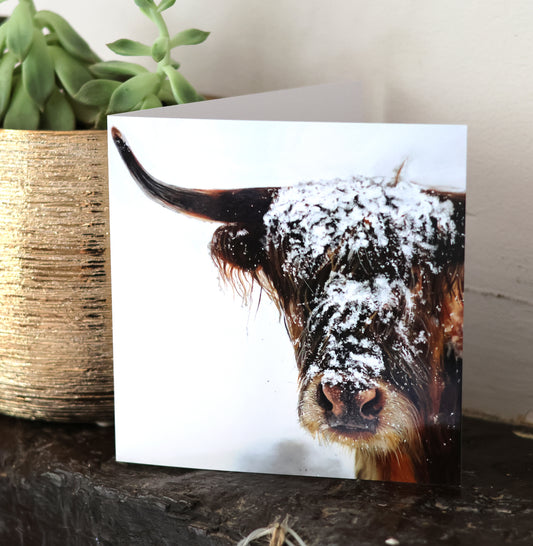 Greeting Card New for 2024 Greeting card - 'Beast in the snow'  -