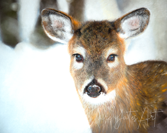 Original Winter Deer Portrait