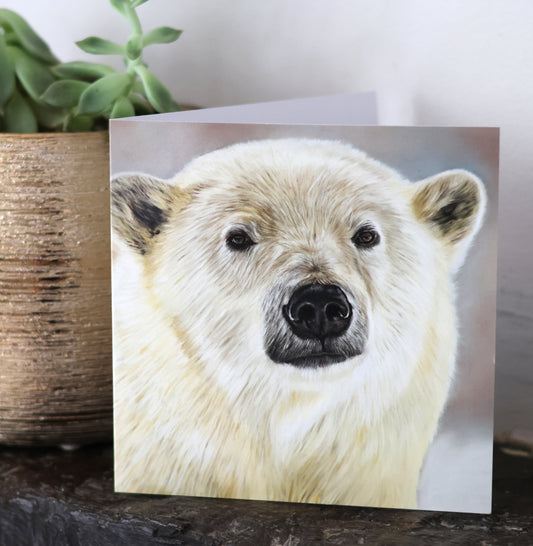 Greeting Card New for 2024 - 'Winter Bear'  -