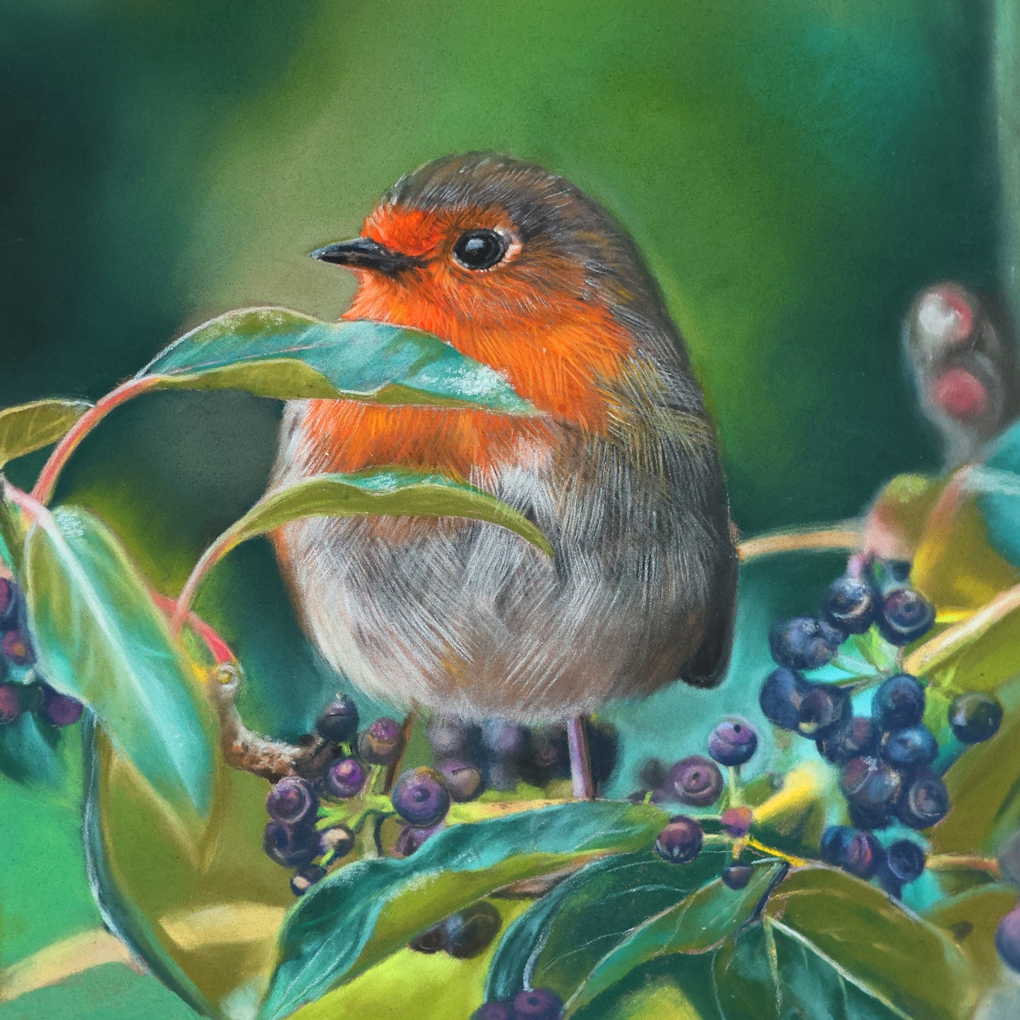 Original The Robin and the Berries Portrait