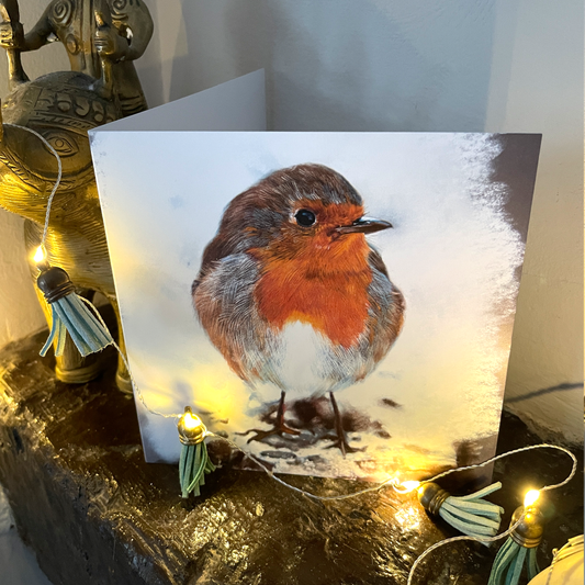 Winter Robin Greeting Card